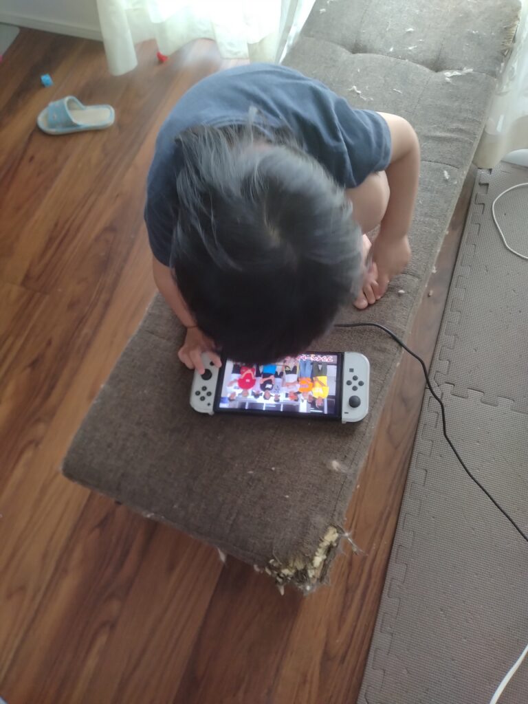 Switchを使っYouTubeを視聴するとうくんの様子